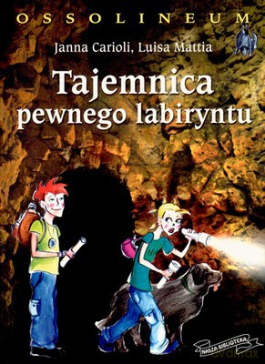 Tajemnica Pewnego Labiryntu - Janna Carioli, Luisa Mattia [KSIĄŻKA]