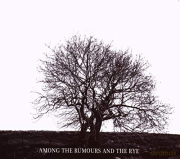 Mr. David Viner: Among The Rumours And The Rye [CD]