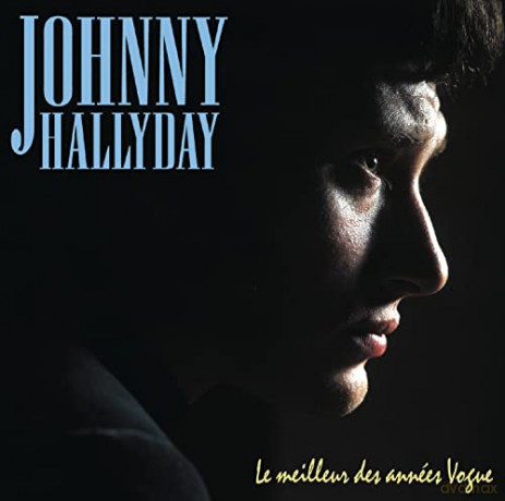 Johnny Hallyday: Best Of Vogue Years [CD]