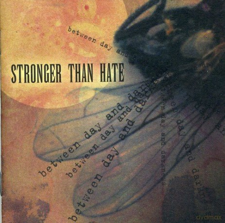 Stronger Than Hate: Between Day And Darkness [CD]