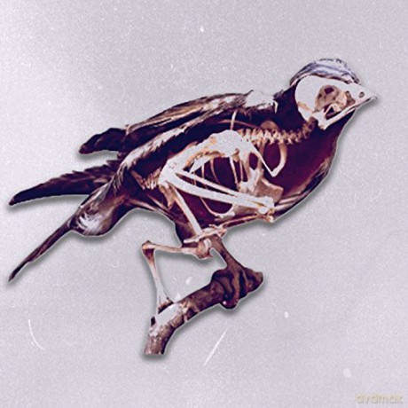 1970s Film Stock: Birds [CD]