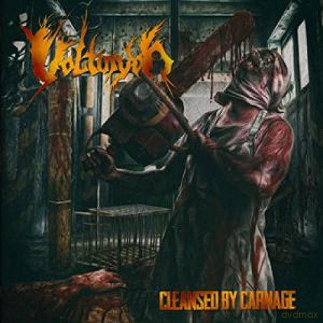 Volturyon: Cleansed By Carnage [Winyl]