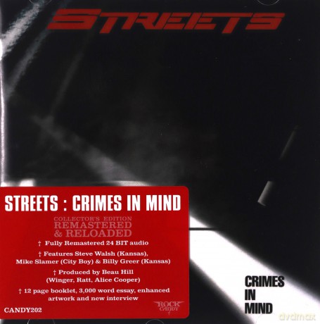 Streets: Crimes In Mind [CD]