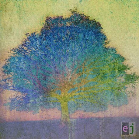 Eric Johnson: Ej (Shm) [CD]