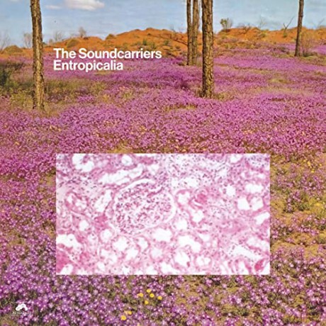 Soundcarriers: Entropicalia [CD]