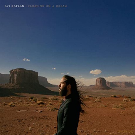 Avi Kaplan: Floating On A Dream [Winyl]