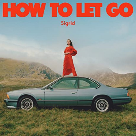 Sigrid: How To Let Go [Winyl]
