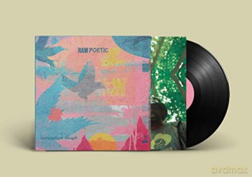 Raw Poetic And Damu The Fudgemunk: Laminated Skies [Winyl]