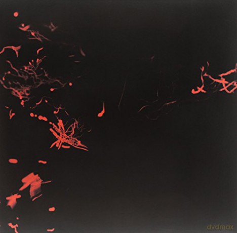Svarte Greiner: Moss Garden [Winyl]