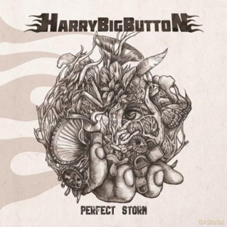 Harrybigbutton: Perfect Storm [CD]