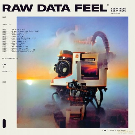 Everything Everything: Raw Data Feel [CD]