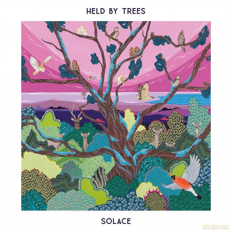 Held By Trees: Solace [CD]