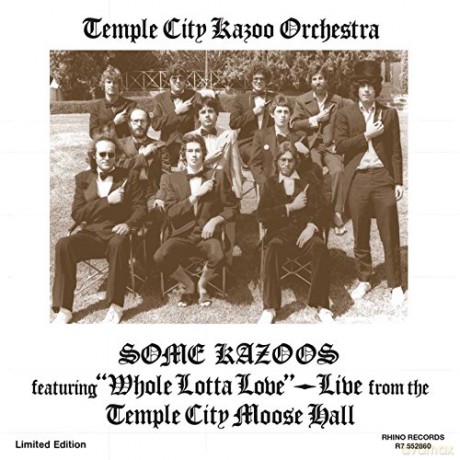 Temply City Kazoo Orchestra: Some Kazoos [2xWinyl]