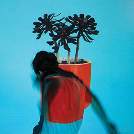 Local Natives: Sunlit Youth [CD]