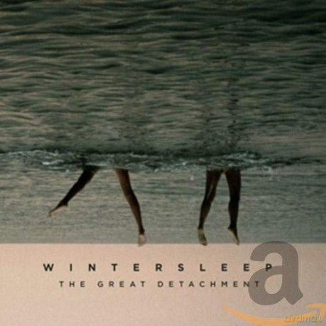 Wintersleep: The Great Detachment [CD]