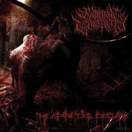 Suicidal Causticity: The Spiritual Decline [CD]