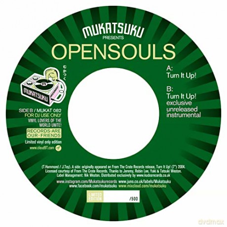 Opensouls: Turn It Up! [Winyl]