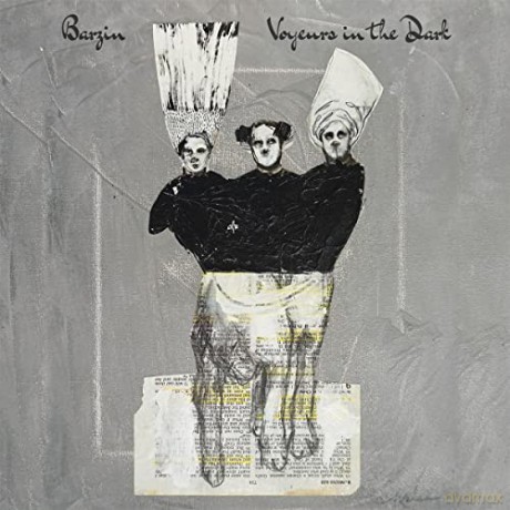 Barzin: Voyeurs In The Dark [CD]
