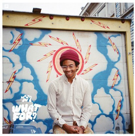 Toro Y Moi: What For [CD]