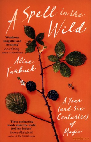 A Spell in the Wind - Alice Tarbuck [KSIĄŻKA]