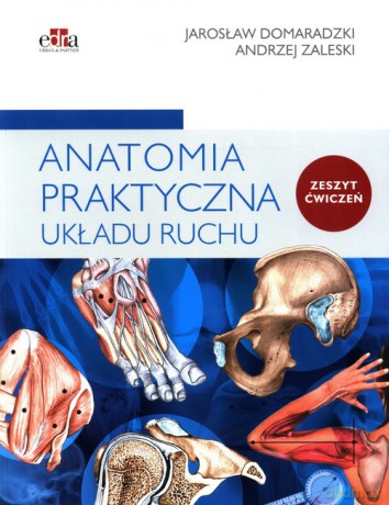 Anatomia praktyczna układu ruchu Ćwiczenia - Jarosław Domaradzki, Andrzej Zaleski [KSIĄŻKA]