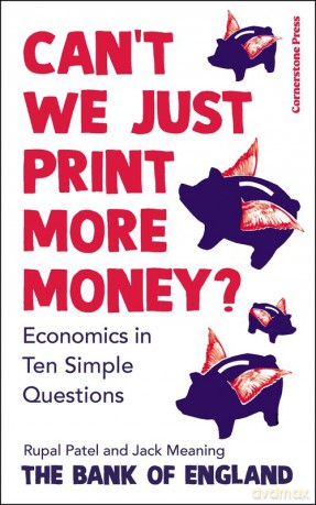 Can't We Just Print More Money - Rupal Patel, Jack Meaning [KSIĄŻKA]