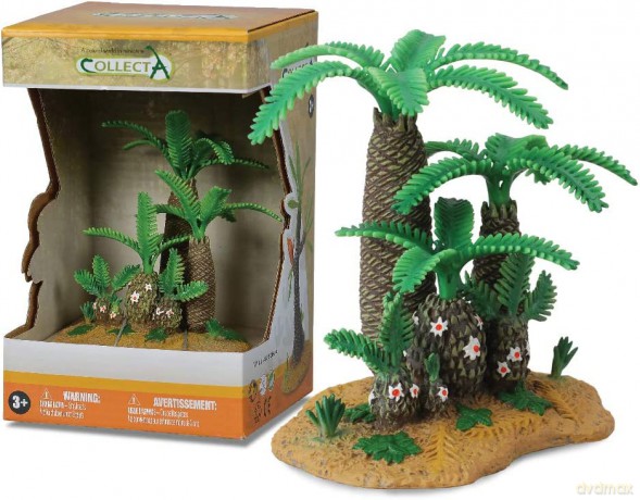 Drzewo Monanthesia Cycadeoidea XL