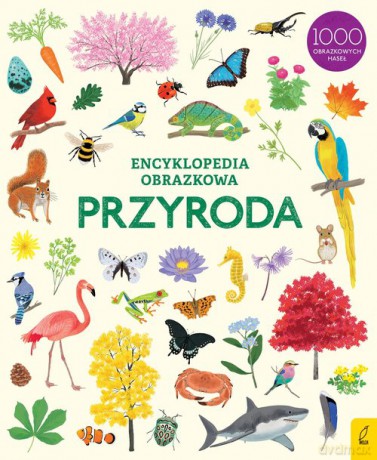 Encyklopedia obrazkowa Przyroda [KSIĄŻKA]