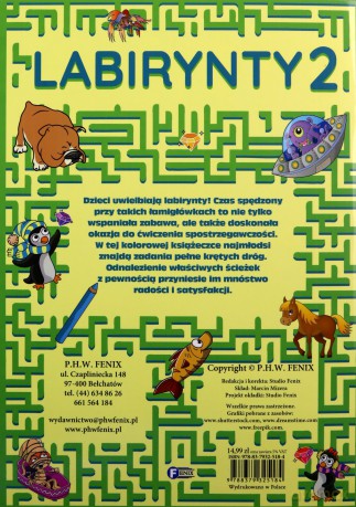 Labirynty 2 [KSIĄŻKA]