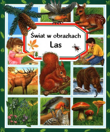 Świat w obrazkach Las - Marie-Renee Pimont [KSIĄŻKA]