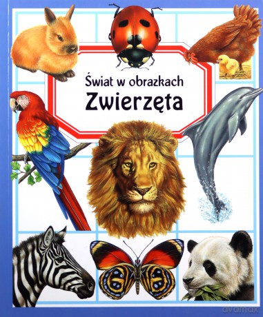 Świat w obrazkach Zwierzęta - Emilie Beaumount [KSIĄŻKA]