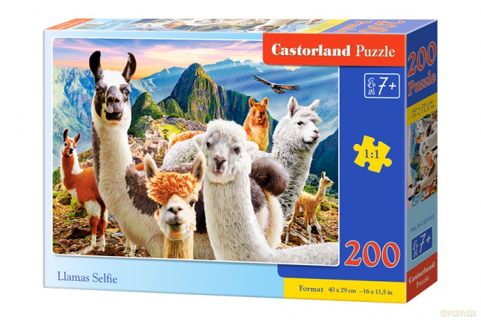 CASTORLAND 200 el. Lamy selfie B-222193 [PUZZLE]