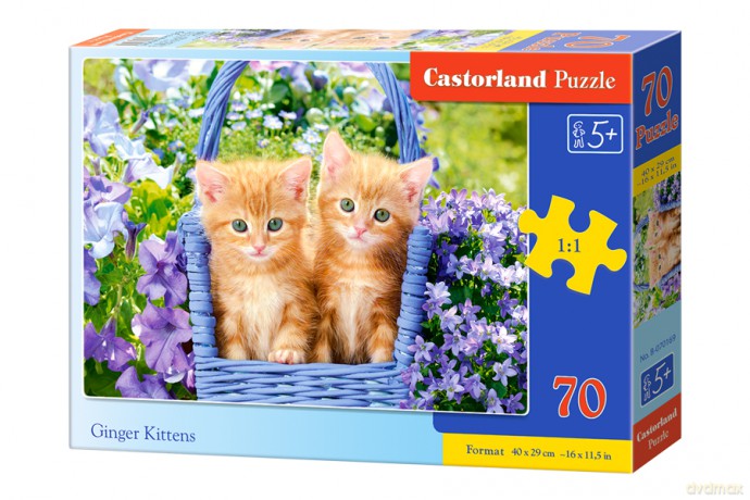 CASTORLAND 70 el. Imbirowe kocięta B-070169 [PUZZLE]