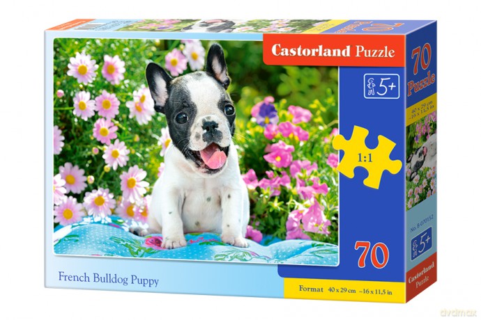CASTORLAND 70 el. Szczenię buldoga francuskiego B-070152 [PUZZLE]