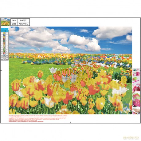 Mozaika diamentowa 5D kit 30x40 cm FLOWER FIELDS 89757