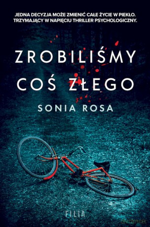 Zrobiliśmy coś złego (pocket) - Sonia Rosa [KSIĄŻKA]