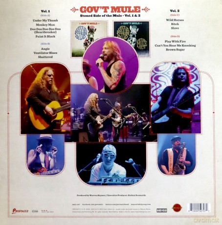 Gov't Mule: Stoned Side Of The Mule (Colored) [2xWinyl]