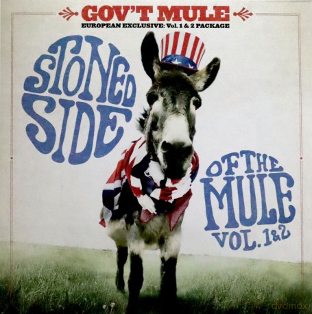 Gov't Mule: Stoned Side Of The Mule (Colored) [2xWinyl]