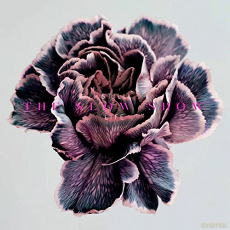 The Slow Show: Still Life  [CD]