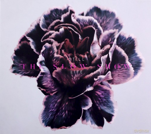 The Slow Show: Still Life  [CD]