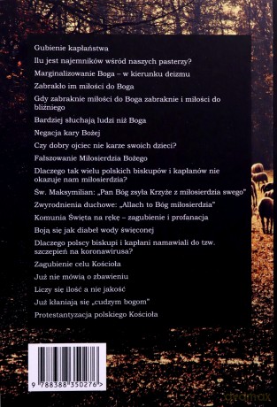 Grzechy główne polskiego Kościoła - Stanisław Krajski [KSIĄŻKA]