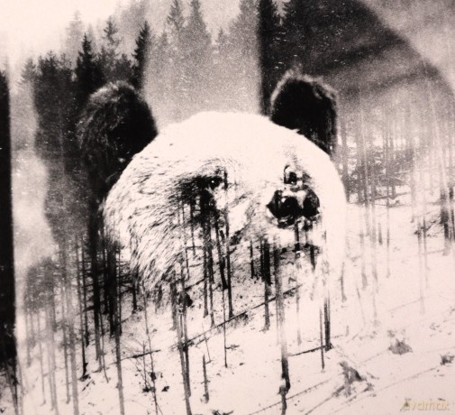 Niechęć: Unsubscribe [CD]