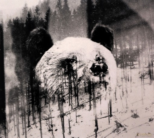 Niechęć: Unsubscribe [CD]