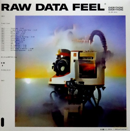 Everything Everything: Raw Data Feel (Clear) [Winyl]