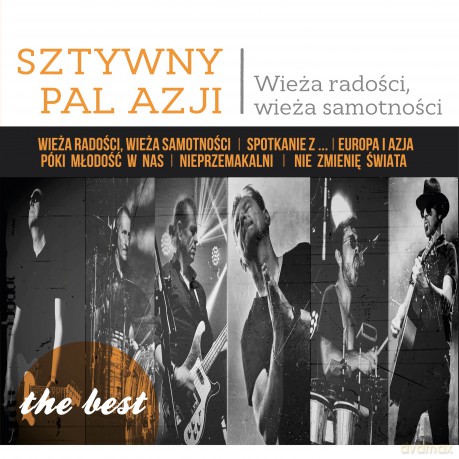 Sztywny Pal Azji: The best - Wieża radosci, wieża samotności [Winyl]