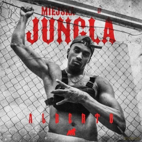 Alberto: Miejska jungla [CD]