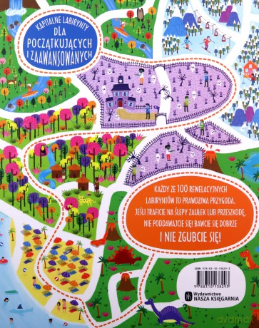 Absolutnie fantastyczne labirynty - Becky Wilson [KSIĄŻKA]