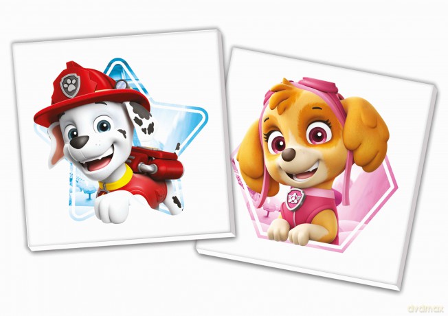 Gra memo Paw patrol 18124 [GRA]