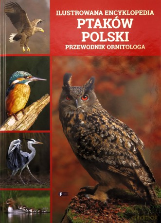 Ilustrowana encyklopedia ptaków polski. Przewodnik ornitologa [KSIĄŻKA]