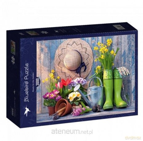 BLUEBIRD 3000 el. Gotowa do wyjścia na ogród [PUZZLE]